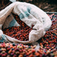 KILIMBI - RWANDA