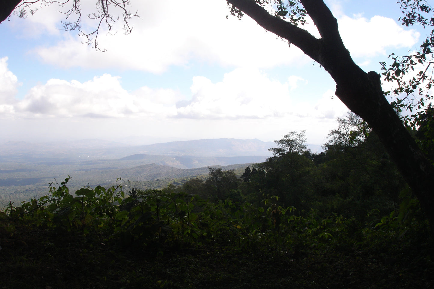 TIDAL ESPRESSO - EL SALVADOR