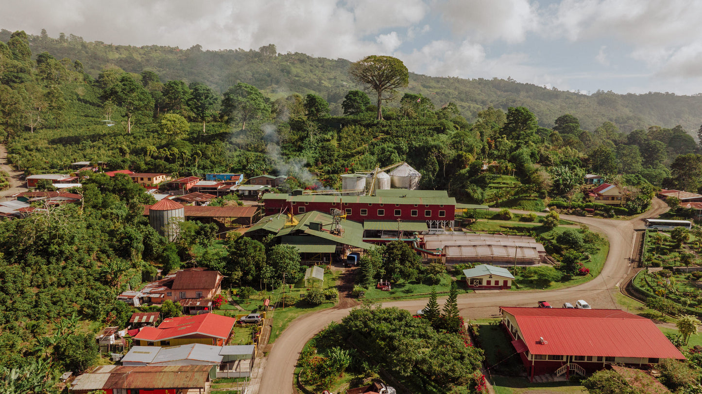 TIDAL ESPRESSO - COSTA RICA